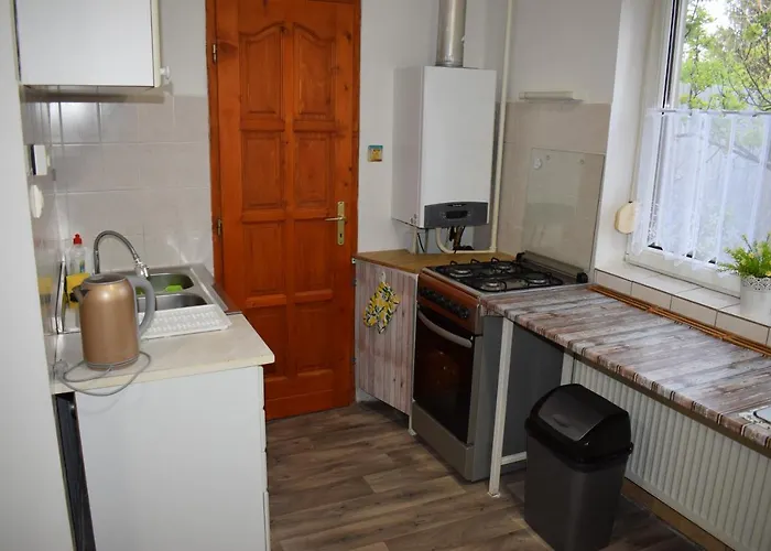 Spacious House In The Outskirts Of Boedapest