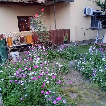 Spacious House In The Outskirts Of Apartamento *